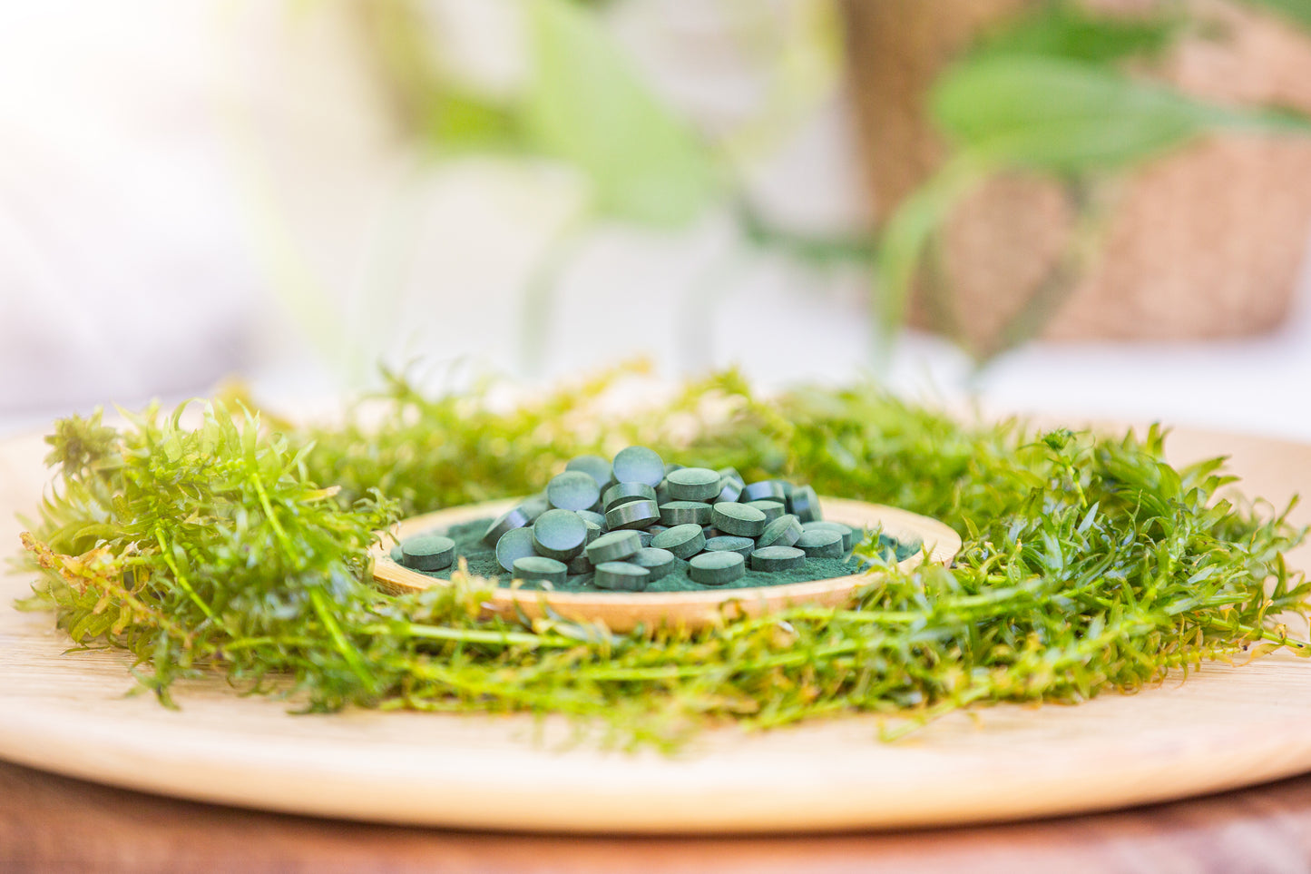 Spiruline